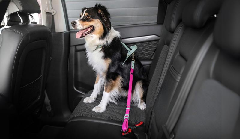 Piszczenie paska w samochodzie