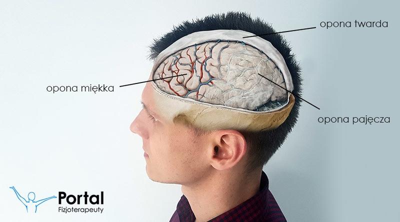 Dobór odpowiedniego ogumienia