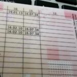 Co Kryje Się W Rubrykach Na Prawie Jazdy? Przewodnik Dla Kierowców